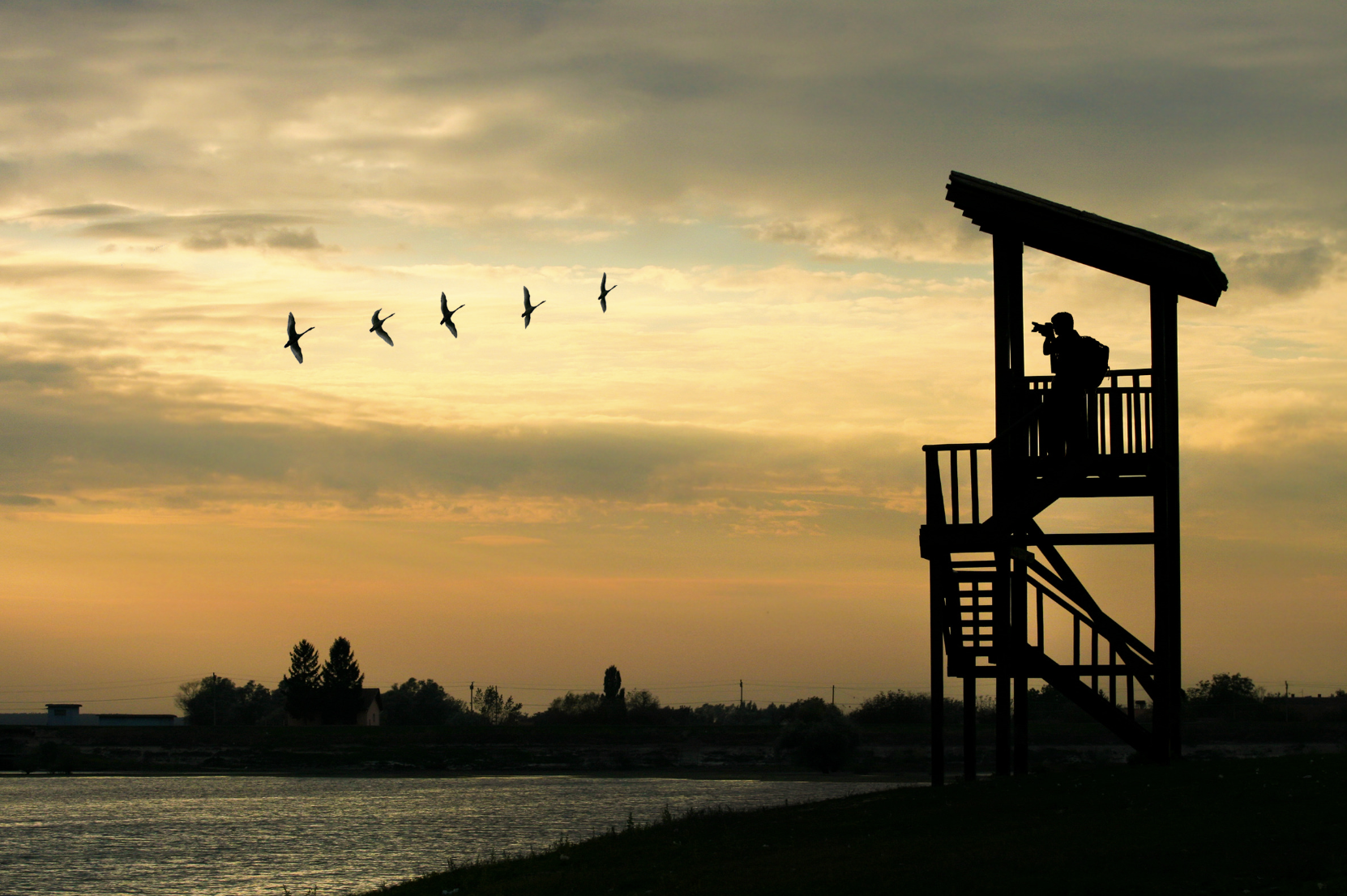 The Surprising Benefits of Bird Watching: How It Enhances Your Well-being